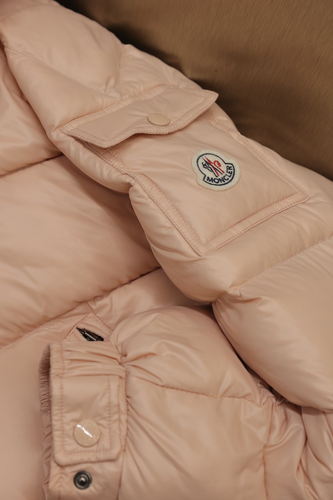 Moncler Down Jackets